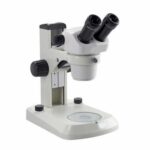 Stereo Microscope